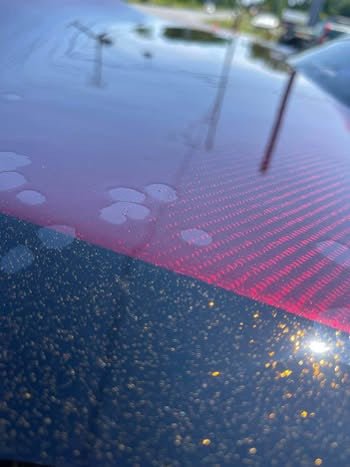 VIS racing C WEST CW CW2 carbon fiber red custom cowl induction hood 2006 2007 Subaru wrx & STi Hawkeye
