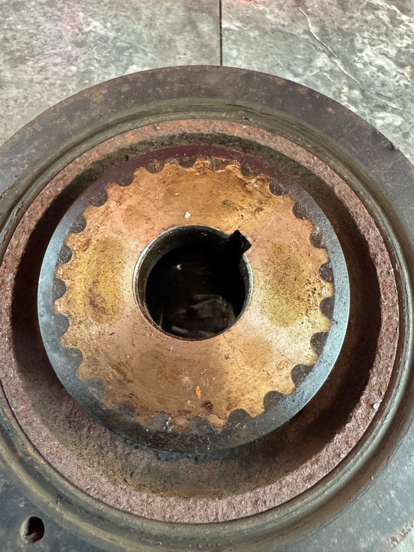 OEM Subaru Timing Belt Crank Gear Pulley Ej255, Ej205, Ej257