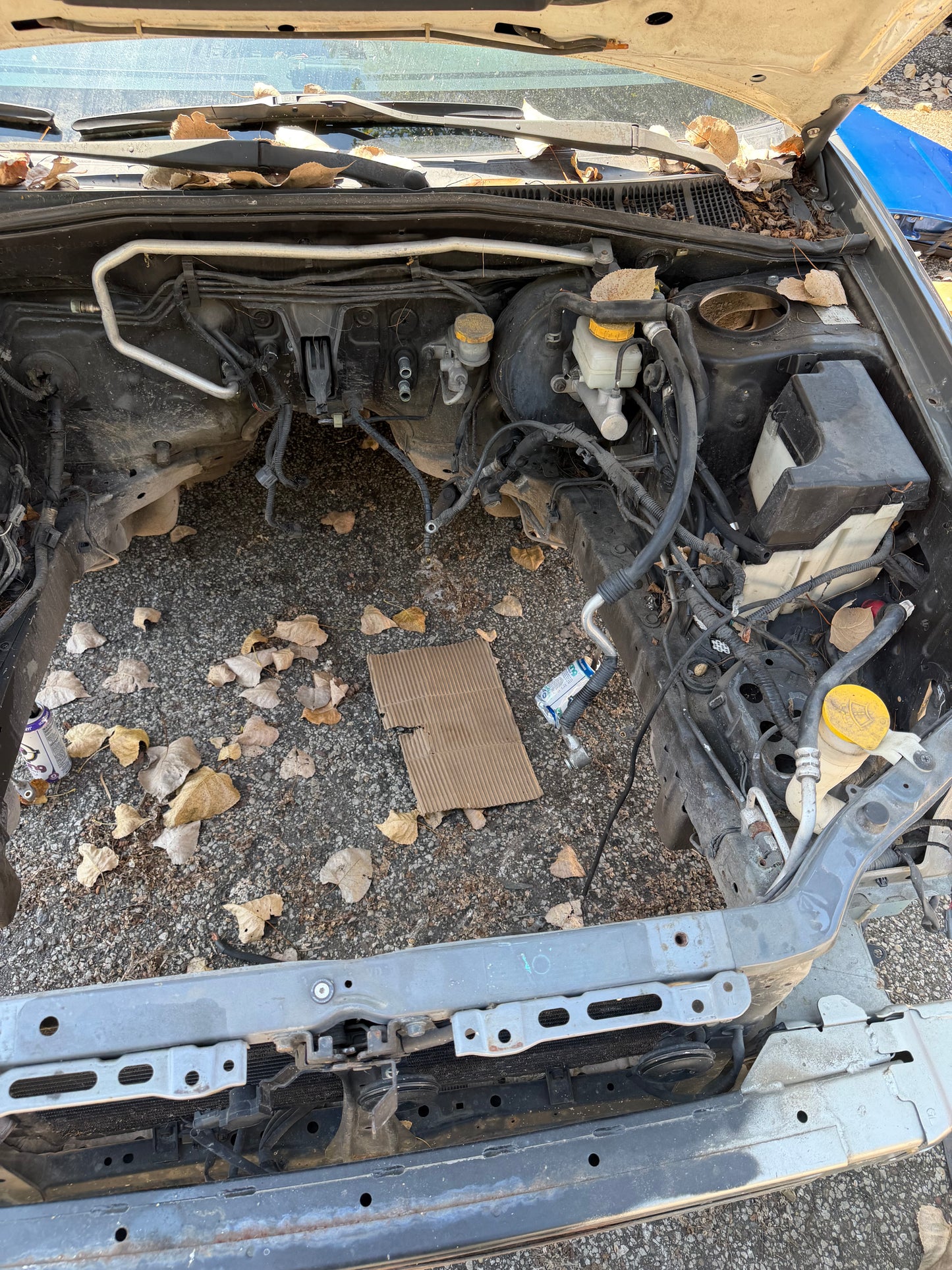 2006 Subaru STi chassis & title ( project or parts )
