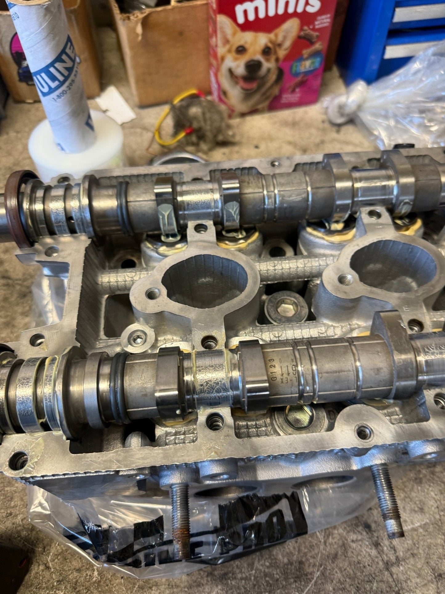 2006-2014 Subaru WRX Legacy Forester Cylinder Heads Single AVCSEj255 GT XT