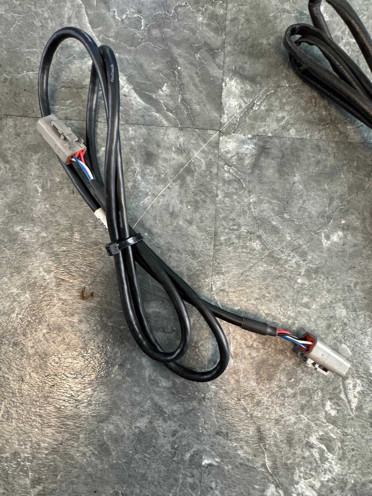 Haltech WB1 Single Channel CAN O2 Sensor Wideband Controller