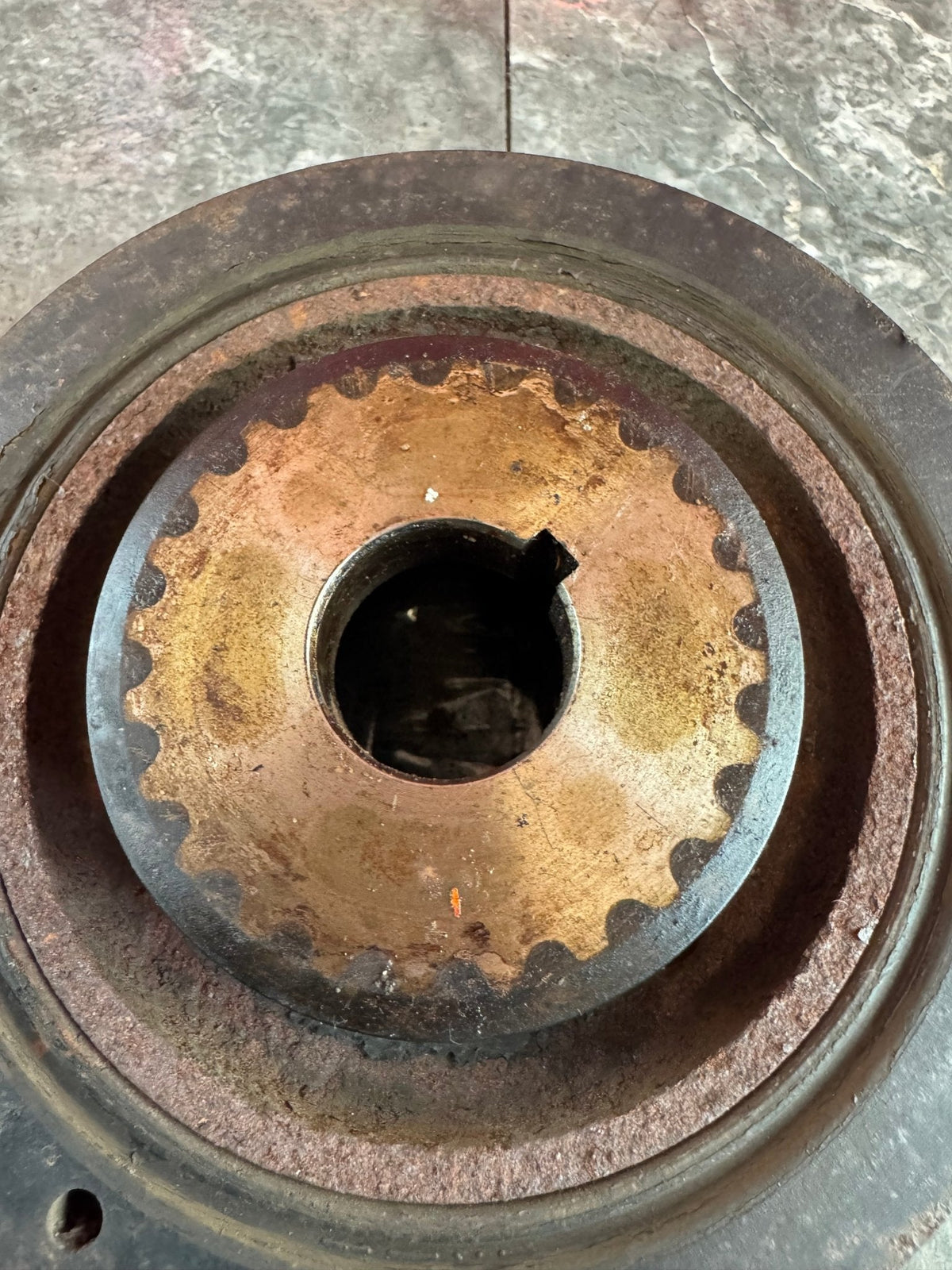 OEM Subaru Timing Belt Crank Gear Pulley Ej255, Ej205, Ej257