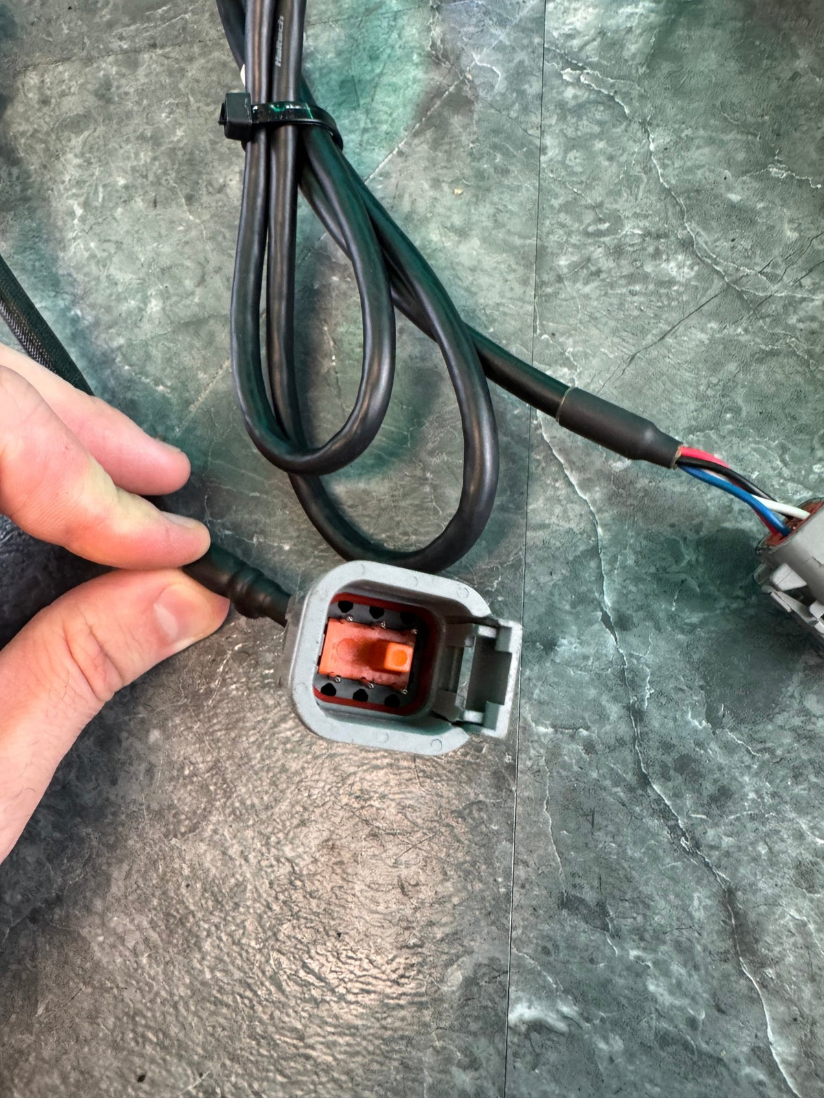 Haltech WB1 Single Channel CAN O2 Sensor Wideband Controller